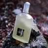 Grey Vetiver Tom Ford Pour Homme EDP