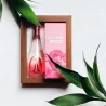 Davidoff Cool water Sea Rose Women EDT 100ml
