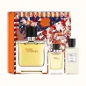 Terre d'Hermes Parfum Hermès 75ml Parfum Men