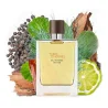 Terre D'Hermes Eau Intense Vetiver Hermès 100ml EDP Men