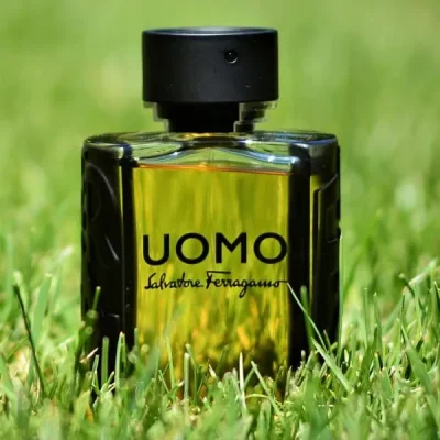 Uomo Salvatore Ferragamo Salvatore Ferragamo 100ml EDT Men