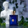 Versace Pour Homme Dylan Blue 100ML EDT Men