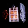 Burberry Brit Pour Femme for Women EDT 100ml