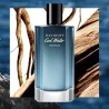 Davidoff Cool Water Parfum 100ML - Perfume Addicts - perfumeaddicts.in