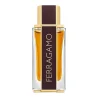 Ferragamo Spicy Leather Salvatore Ferragamo – 100ml EDP Men